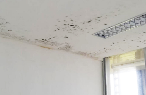Tác hại khi sử dụng trần thạch cao kém chất lượng